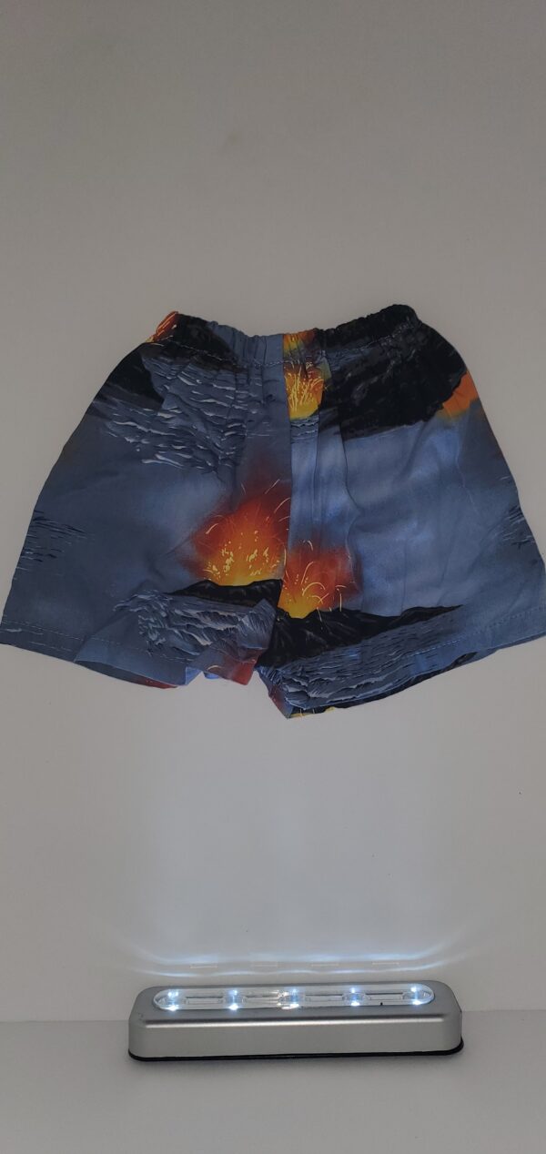 Boy's Swim Trunks 12mos